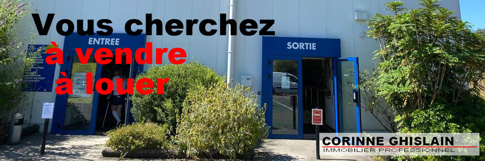 Information en vente et location immobilier entreprise et commerce.